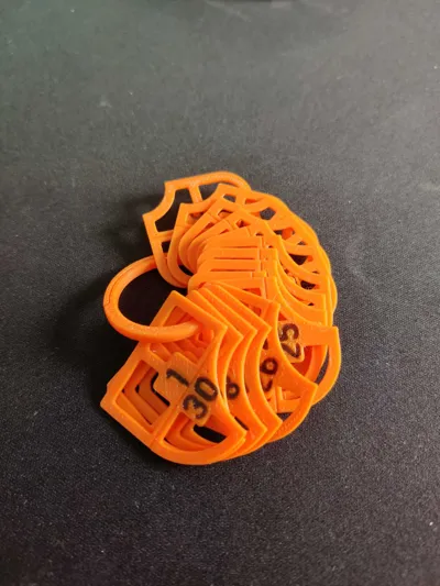 https://makerworld.bblmw.com/makerworld/model/903286/862796/ratings/eea88600-2282-11f0-a519-997137e11189.jpg