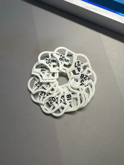 https://makerworld.bblmw.com/makerworld/model/903286/922059/ratings/b8489540-c4b3-11f0-b1d0-8972fa14e1da.jpg