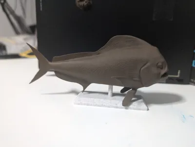 https://makerworld.bblmw.com/makerworld/model/903377/862905/ratings/ec1cca40-fbef-11ef-8d46-49c5ecb97ca5.jpg