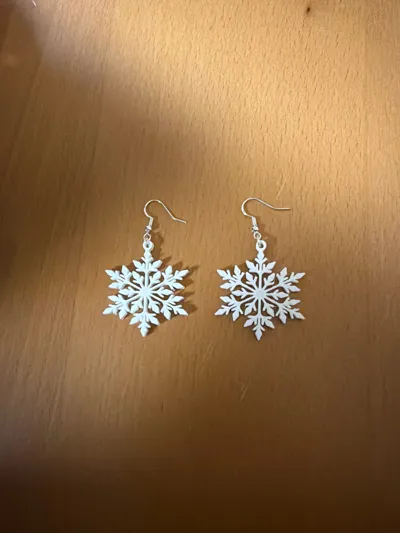 https://makerworld.bblmw.com/makerworld/model/903710/863322/ratings/b4003480-cb06-11f0-9192-abb8406ad741.jpg