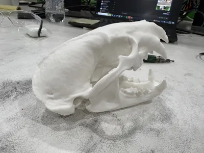 https://makerworld.bblmw.com/makerworld/model/904906/864826/ratings/f6265ef0-00f6-11f0-9c82-e507c2c26991.jpg