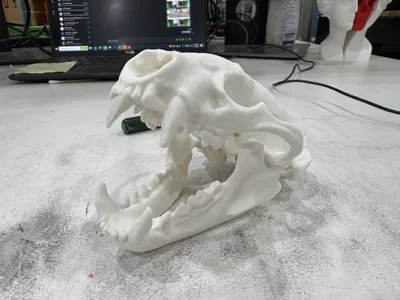 https://makerworld.bblmw.com/makerworld/model/904906/864826/ratings/f62881d0-00f6-11f0-9c82-e507c2c26991.jpg