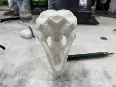 https://makerworld.bblmw.com/makerworld/model/904906/864826/ratings/f6361660-00f6-11f0-9c82-e507c2c26991.jpg