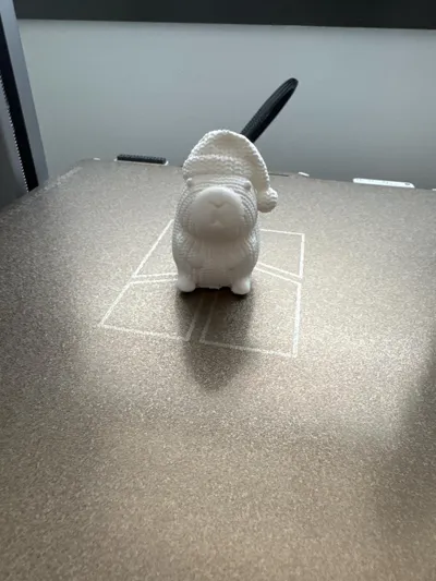 https://makerworld.bblmw.com/makerworld/model/906591/866741/ratings/d0b869b0-de72-11f0-b5ab-9ff6629402f7.jpg
