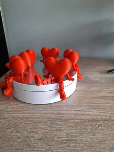 https://makerworld.bblmw.com/makerworld/model/907661/868003/ratings/ef9dc2c0-408f-11f0-bb2b-8d0e37efa225.jpg