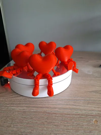 https://makerworld.bblmw.com/makerworld/model/907661/868003/ratings/efa0d000-408f-11f0-bb2b-8d0e37efa225.jpg