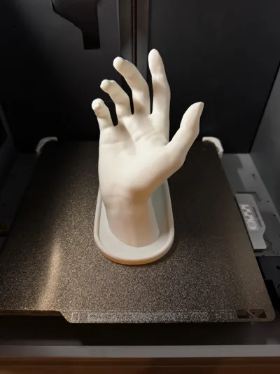 https://makerworld.bblmw.com/makerworld/model/907761/911018/ratings/0135fd70-65ef-11f0-b37f-a3aaff57d756.jpg