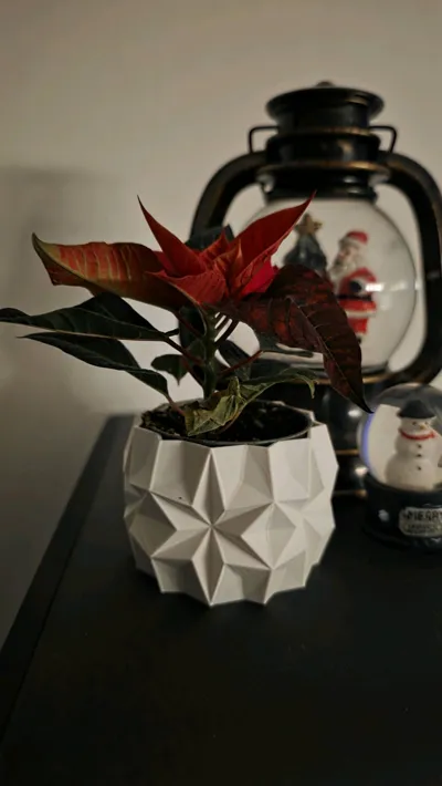 https://makerworld.bblmw.com/makerworld/model/908255/868636/ratings/9ddbee90-c7c0-11f0-a81a-230e84dcf985.jpg