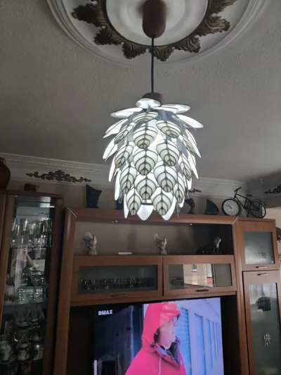 https://makerworld.bblmw.com/makerworld/model/908514/868929/ratings/b58f2640-9e82-11f0-9c2b-875916e2f602.jpg