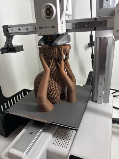 https://makerworld.bblmw.com/makerworld/model/908541/868967/ratings/2b1f1010-c510-11f0-b7f2-713cc730c7b7.jpg