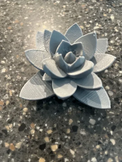 https://makerworld.bblmw.com/makerworld/model/910534/871311/ratings/68551830-55ee-11f0-976f-ede7174e22f3.jpg