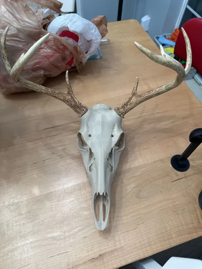 https://makerworld.bblmw.com/makerworld/model/910693/871525/ratings/7a1370e0-e9cc-11f0-90c6-3fd6286d7957.jpg