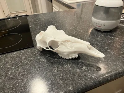 https://makerworld.bblmw.com/makerworld/model/910693/871525/ratings/a5dc09c0-e7c5-11f0-9d09-398600b04238.jpg