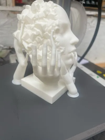 https://makerworld.bblmw.com/makerworld/model/911609/872709/ratings/380bdc80-5400-11f0-95fb-516e25cd8ca2.jpg