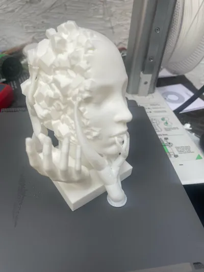 https://makerworld.bblmw.com/makerworld/model/911609/872709/ratings/380c0390-5400-11f0-95fb-516e25cd8ca2.jpg
