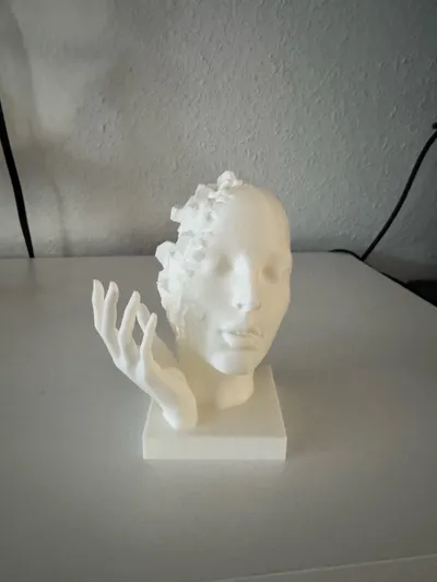 https://makerworld.bblmw.com/makerworld/model/911609/872709/ratings/8bf12930-948e-11f0-b8ea-29619b537a2d.jpg
