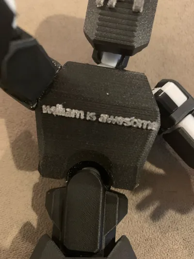 https://makerworld.bblmw.com/makerworld/model/913000/878210/ratings/527f6180-39bc-11f0-8b65-7b1ed4ca0f3a.jpg