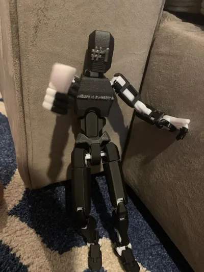 https://makerworld.bblmw.com/makerworld/model/913000/878210/ratings/528b2150-39bc-11f0-8b65-7b1ed4ca0f3a.jpg
