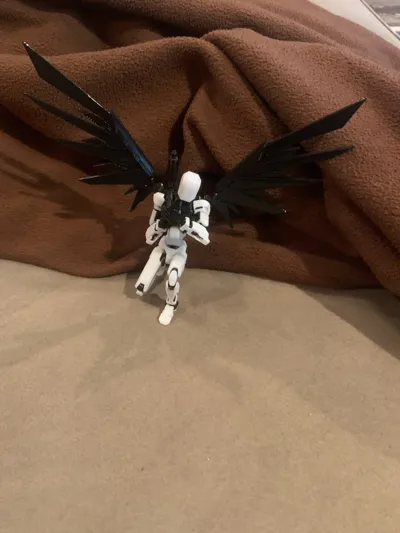 https://makerworld.bblmw.com/makerworld/model/914027/875267/ratings/795f5c00-2d33-11f0-ad38-cdfe329be1d7.jpg