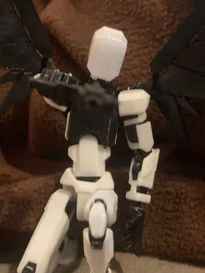https://makerworld.bblmw.com/makerworld/model/914027/875267/ratings/79630580-2d33-11f0-ad38-cdfe329be1d7.jpg