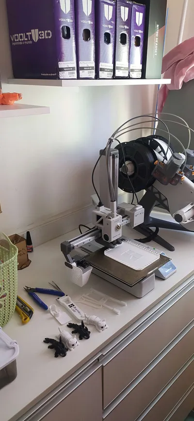 https://makerworld.bblmw.com/makerworld/model/914848/876358/ratings/13eeea90-8b73-11f0-9d6f-abaccf037ab1.jpg