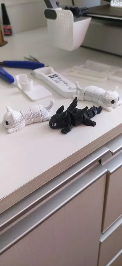 https://makerworld.bblmw.com/makerworld/model/914848/876358/ratings/13f13480-8b73-11f0-9d6f-abaccf037ab1.jpg