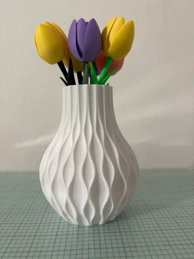 https://makerworld.bblmw.com/makerworld/model/915443/876958/ratings/503c5360-22d3-11f0-8c3d-538514f30229.jpg