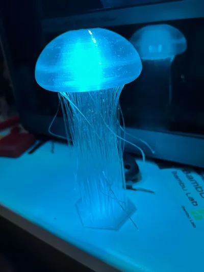 https://makerworld.bblmw.com/makerworld/model/919501/881412/ratings/804ec450-6aa1-11f0-bdf7-37e0498cf78e.jpg
