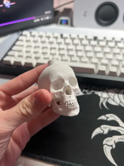 https://makerworld.bblmw.com/makerworld/model/919603/881527/ratings/afc05540-3cda-11f0-9a43-a5aa8de711f9.jpg