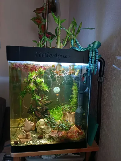https://makerworld.bblmw.com/makerworld/model/919814/881748/ratings/4b6c9fe0-eb26-11f0-804d-a74097f69c0e.jpg
