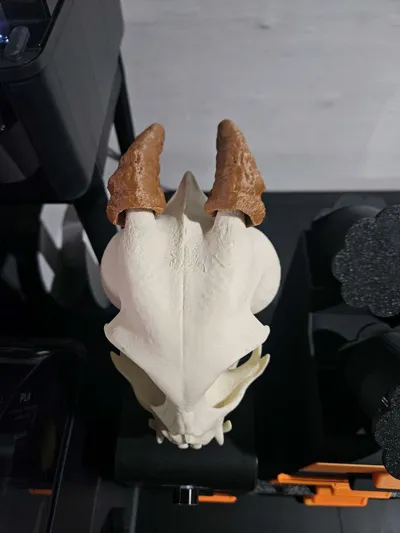 https://makerworld.bblmw.com/makerworld/model/919958/881912/ratings/f2af8d80-5602-11f0-8ed8-d1ba5938cca4.jpg