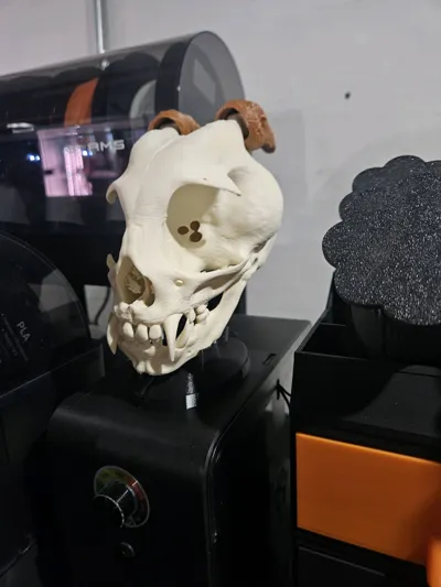 https://makerworld.bblmw.com/makerworld/model/919958/881912/ratings/f2cbef20-5602-11f0-8ed8-d1ba5938cca4.jpg