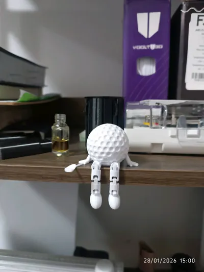 https://makerworld.bblmw.com/makerworld/model/921144/883230/ratings/61342010-fc73-11f0-89a3-997e02393161.jpg