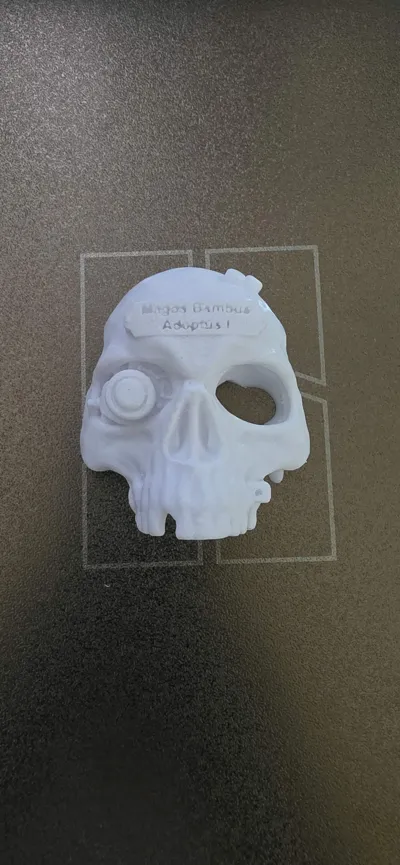 https://makerworld.bblmw.com/makerworld/model/922667/885072/ratings/8bb028b0-11a1-11f0-8d62-3d66bb6cf62e.jpg