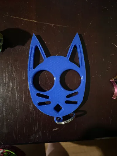 https://makerworld.bblmw.com/makerworld/model/923863/891558/ratings/2c546820-b3bf-11f0-9071-33ec2b49ad07.jpg