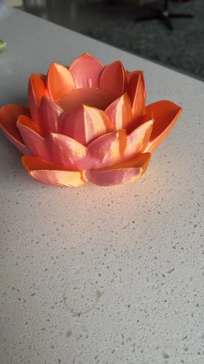 https://makerworld.bblmw.com/makerworld/model/925992/888975/ratings/a3b92820-310a-11f0-bb22-a7ef2084a917.jpg