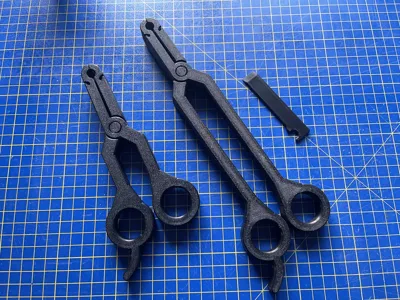 https://makerworld.bblmw.com/makerworld/model/927997/891373/ratings/2025-09-18_fa691b02ef359.jpeg