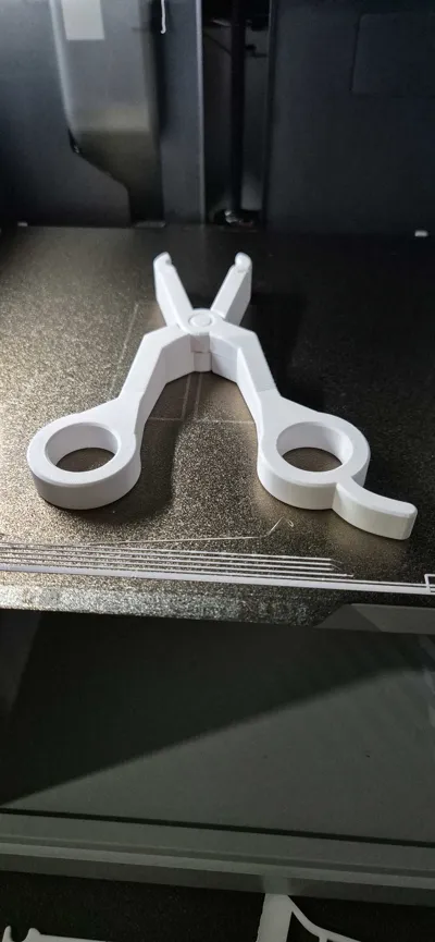 https://makerworld.bblmw.com/makerworld/model/927997/891373/ratings/798ec6f0-cb14-11f0-a2bd-53ff74aebc31.jpg