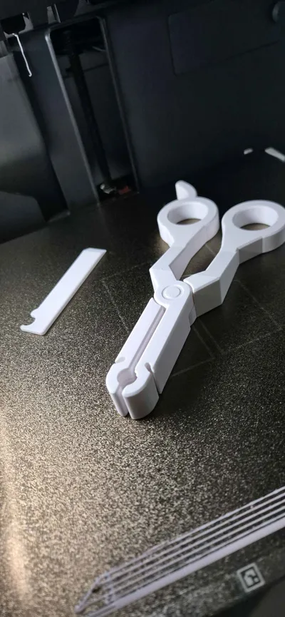 https://makerworld.bblmw.com/makerworld/model/927997/891373/ratings/79f35520-cb14-11f0-a2bd-53ff74aebc31.jpg