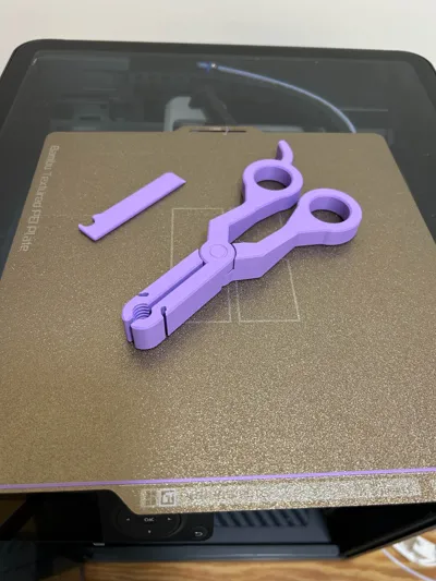 https://makerworld.bblmw.com/makerworld/model/927997/891373/ratings/f09dfe90-468b-11f0-a993-333fe0003f12.jpg