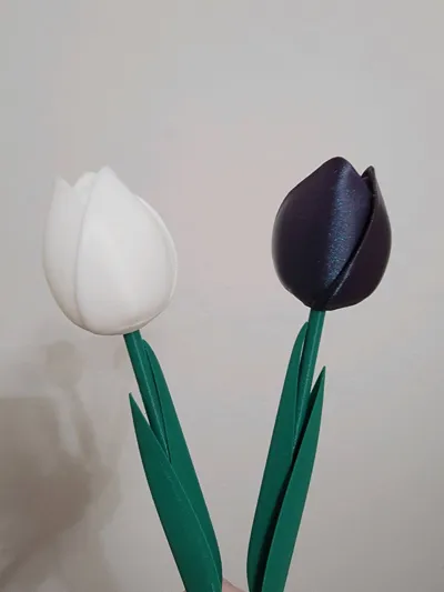 https://makerworld.bblmw.com/makerworld/model/928127/891541/ratings/46ebc500-1ad8-11f0-b62e-a37b91e58c47.jpg