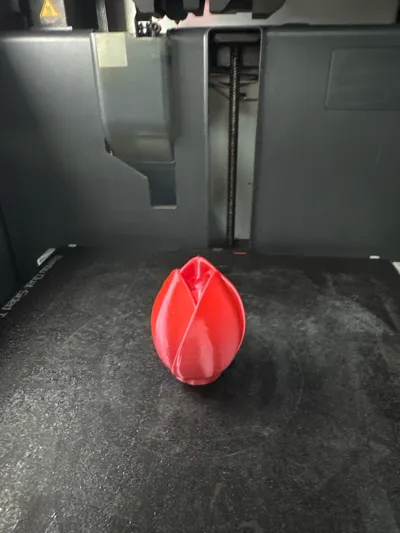 https://makerworld.bblmw.com/makerworld/model/928127/891541/ratings/50c21470-2cb3-11f0-be46-65a4572eeb4c.jpg