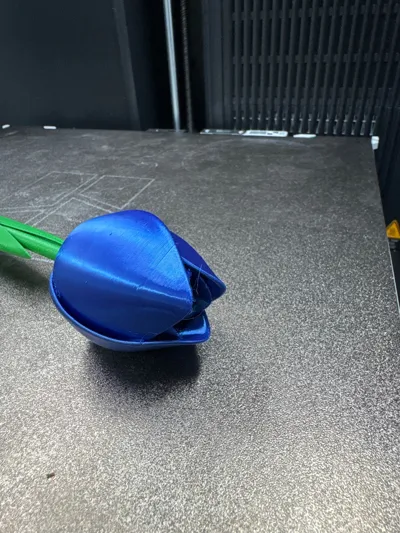 https://makerworld.bblmw.com/makerworld/model/928127/891541/ratings/6ae1ebc0-2bf8-11f0-bb14-c9a146f7a4c7.jpg
