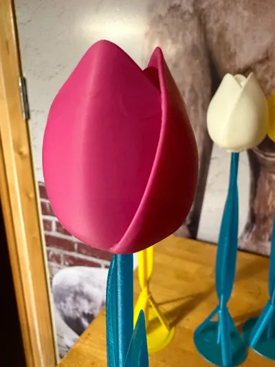 https://makerworld.bblmw.com/makerworld/model/928127/966846/ratings/379adb70-52b1-11f0-9de1-e389f4f45d44.jpg