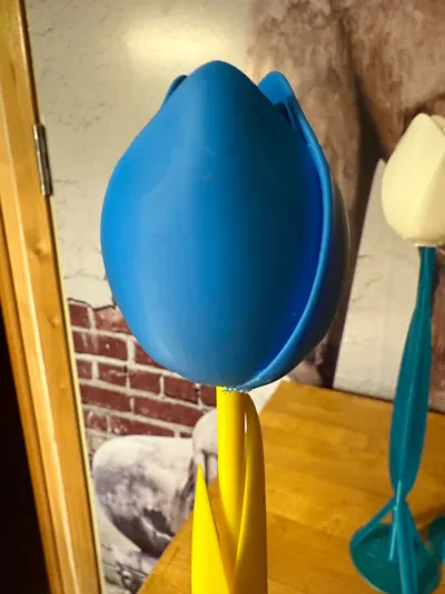 https://makerworld.bblmw.com/makerworld/model/928127/966846/ratings/379c8920-52b1-11f0-9de1-e389f4f45d44.jpg