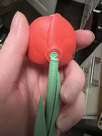 https://makerworld.bblmw.com/makerworld/model/928127/966846/ratings/90824650-fcbd-11ef-b977-87abf0ffac67.jpg