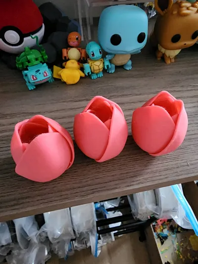 https://makerworld.bblmw.com/makerworld/model/928127/966846/ratings/b7656670-0f33-11f0-9ee0-fff16c641bfb.jpg