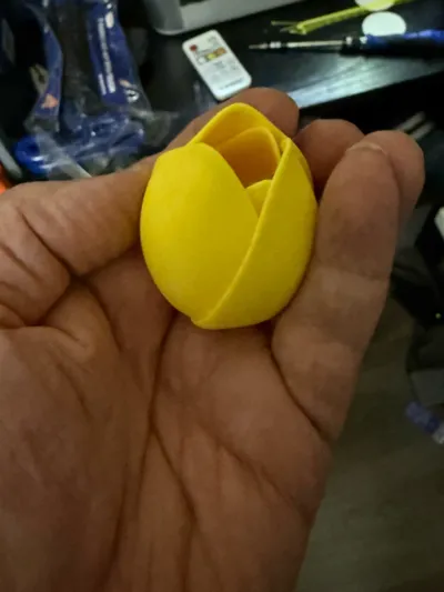https://makerworld.bblmw.com/makerworld/model/928127/966846/ratings/e89645f0-1917-11f0-a3e9-45423b82039e.jpg