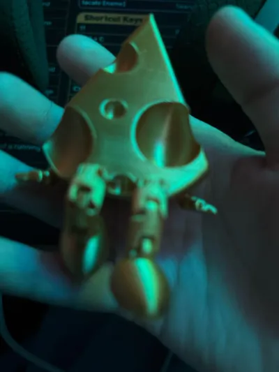 https://makerworld.bblmw.com/makerworld/model/928137/891567/ratings/ded968f0-f952-11f0-b0d2-5f9b7256063b.jpg