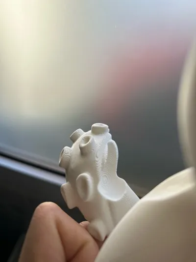 https://makerworld.bblmw.com/makerworld/model/928527/892106/ratings/966b3090-2431-11f0-b96c-9b308ccda693.jpg